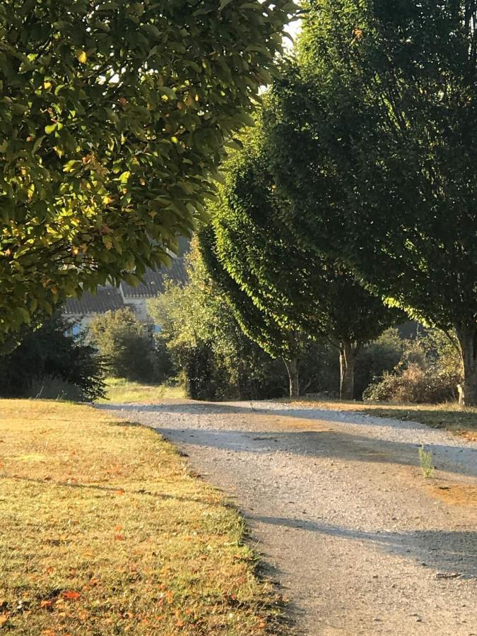 Les Roses Villa Barjou Kültér fotó